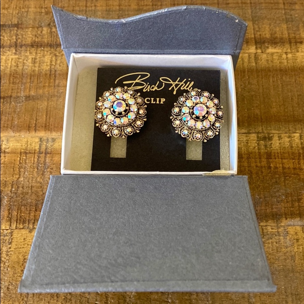 Birch Hill Crystal Clip On Earrings